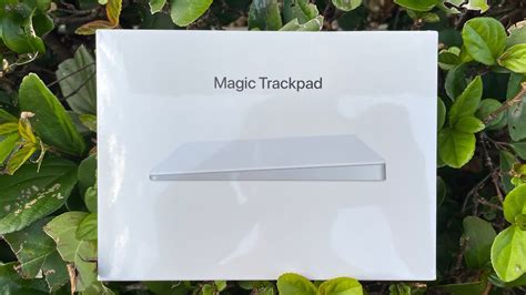 Apple magic trackpad back